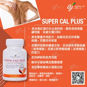 Super Cal Plus
